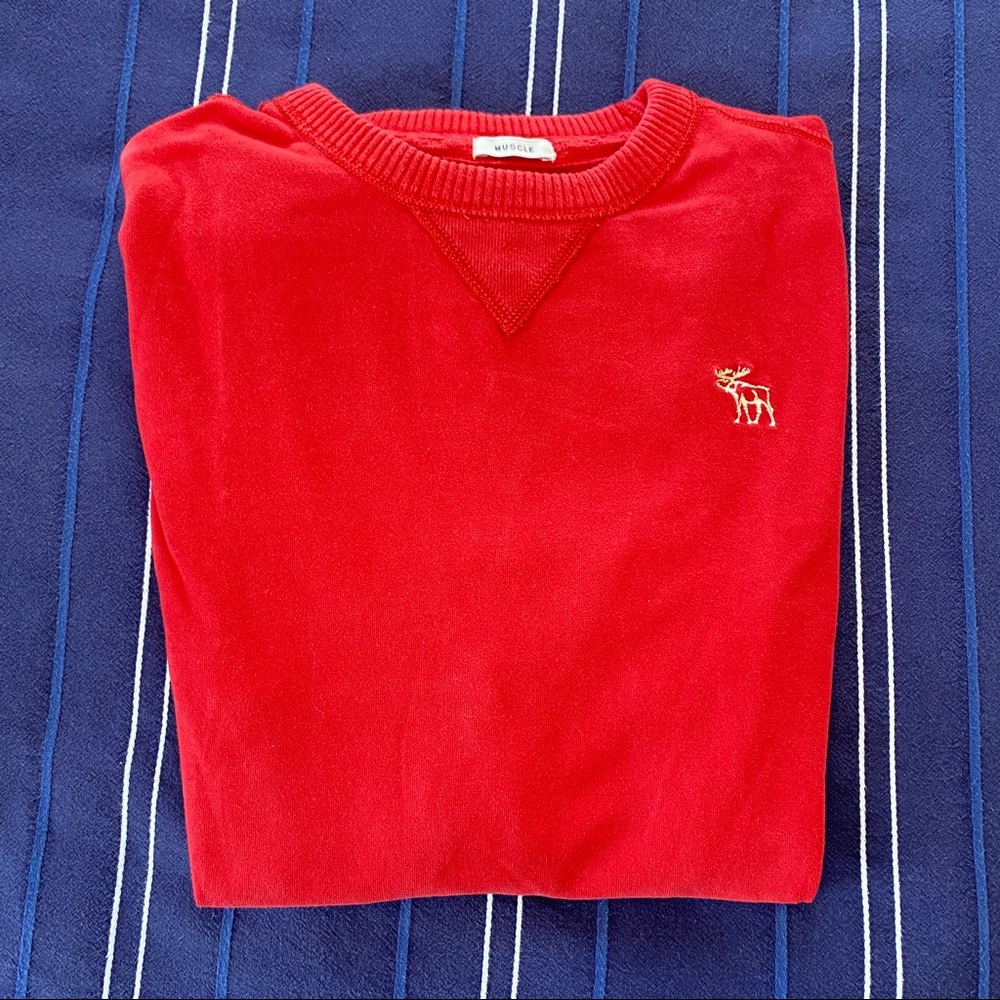 Men’s Abercrombie Sweater